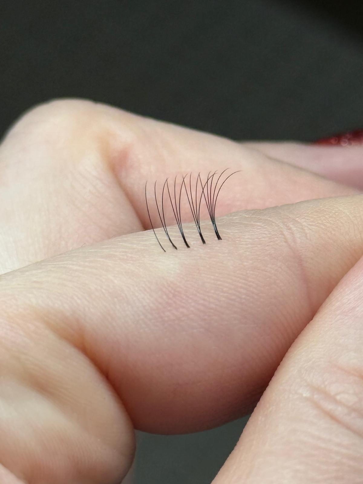 Atelier Éventail Parfait